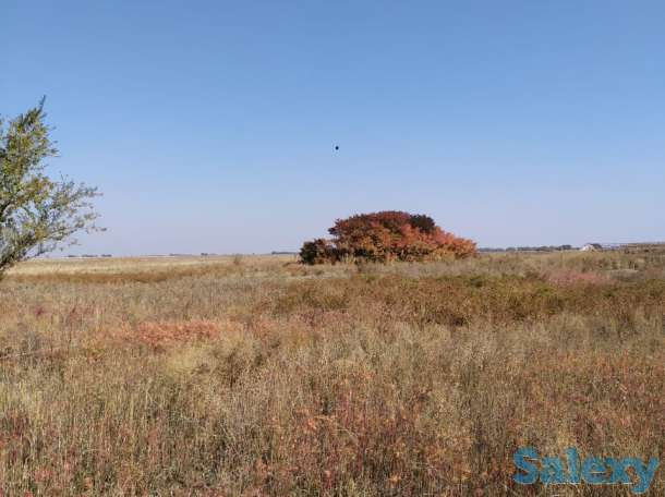 Продам участкти по 12 соток, ПК с/т Темирлан, фотография 5