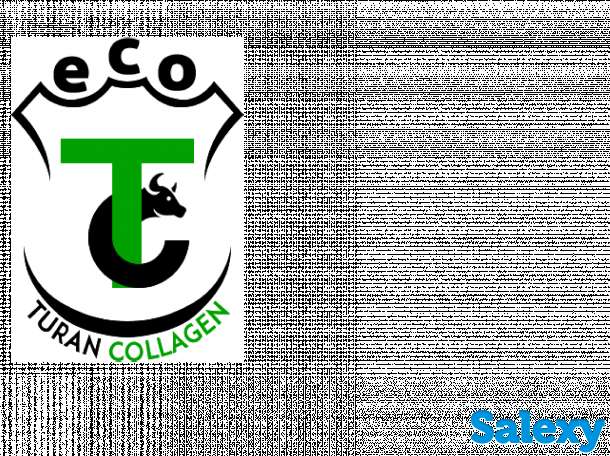 Секретарь в офис, фотография 1