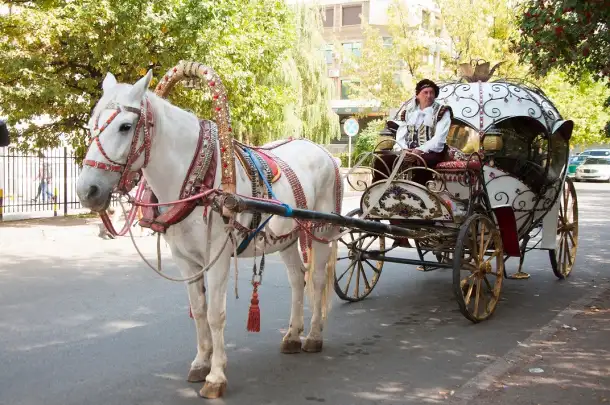 аренда кареты, фотография 12