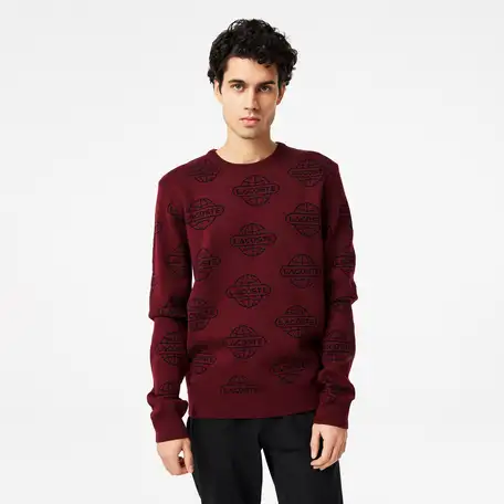 Мужской свитер lacoste regular fit, фотография 1