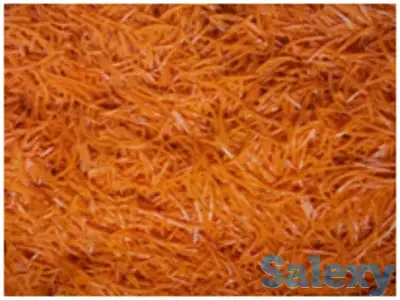 Миксер для смешивания салатов с 1 и 2-мя шнеками Vega Mix, фотография 6