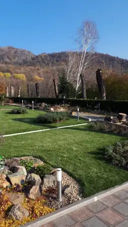 Спил сруб деревьев, фотография 9