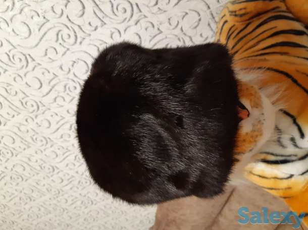 Головные уборы, фотография 3