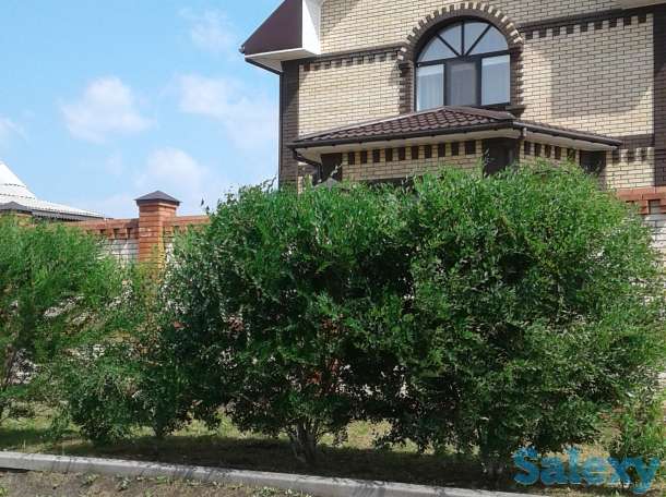 Продажа, Омская обл.Марьяновка р.п., фотография 6