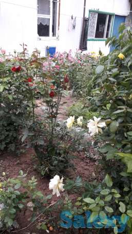 продам или обменяю частный дом, фотография 5