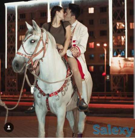 лошади, пони, катание, прокат, фотография 6