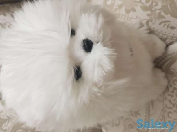 Игрушки мягкие, фотография 3