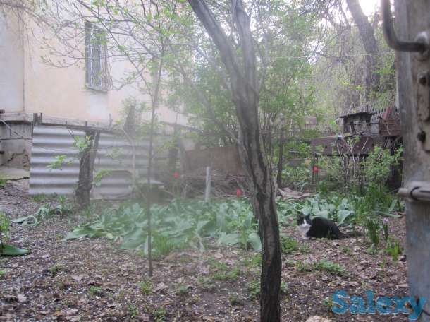 Квартиру-продам, проспект Гагарина угол Утепова, фотография 4