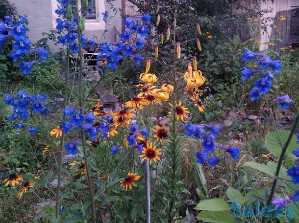 Продам дачу, То Дружба, фотография 1