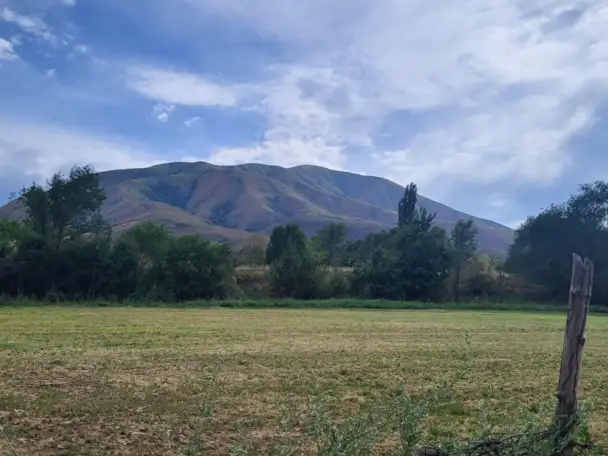 Продаем земельный участок  1 гектар возле поселка Джандосова, фотография 5