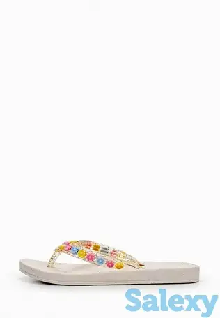 Сланцы t.taccardi, фотография 1