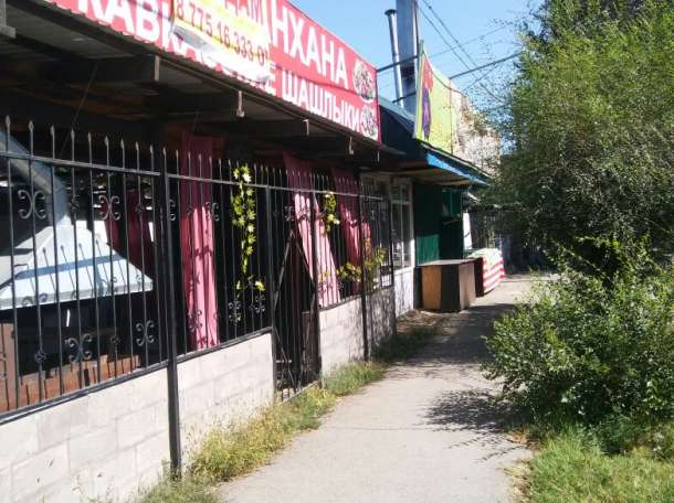 Продам Дом под бизнесс, Райымбека, Немировича-Данченко, фотография 2