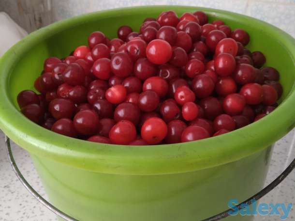 Продажа продам вишню 6 литров, фотография 1