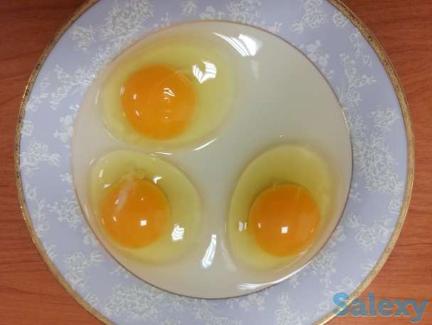 яйцо куриное оптом, фотография 2