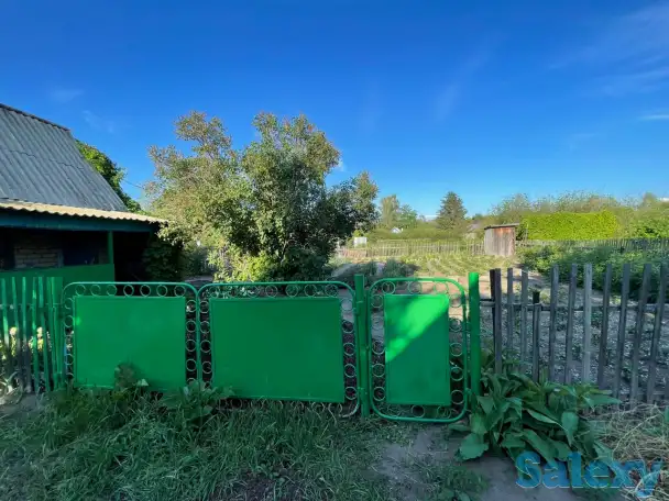 Дача. Петропавловск. Общество «Горизонт»., фотография 8