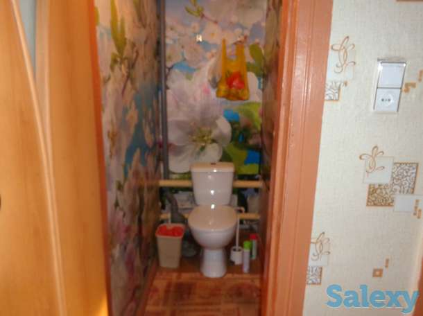 квартира на земле, омская область калачинский район д.стародубка ул. новая 10/2, фотография 9