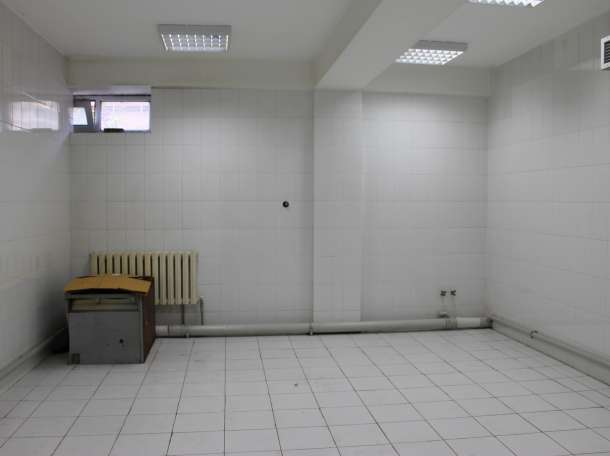 Сдаются подвальные помещения, Осипенко 35А, фотография 2