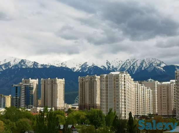 Давно искал такую!, Бостандыкский район, ул. Навои/Токтабаева, фотография 9