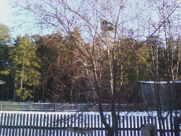 срочно продам дом, село Буланды(Лесхоз) Акмолинская область, фотография 3