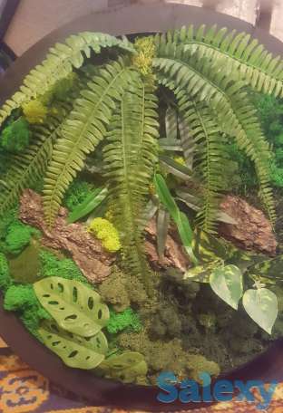 Картина, фотография 3