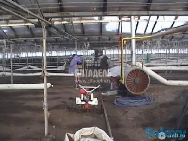 Теплица под ключ, фотография 5