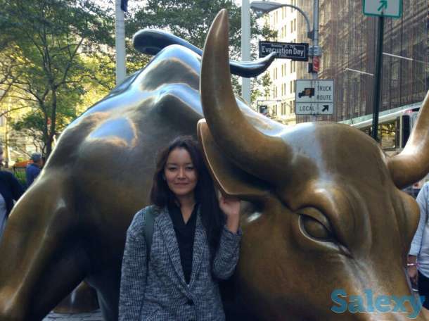 Виза в США туристическая B1/B2, студенческая F1, Шенген Виза, фотография 1