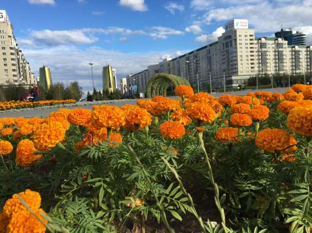 Английский язык интенсивно, фотография 1