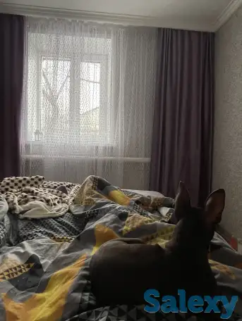 Продается дача, Район Байтерек, с/о Факел, фотография 2