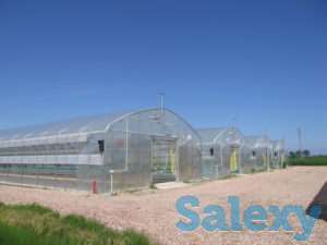 Теплица промышленная/фермерская Atlantic, фотография 1