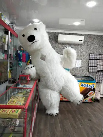 Продам шпальный дом с магазином, Долматово береговая 1, фотография 3