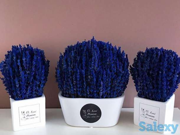 Озеленение интерьеров, фотография 2