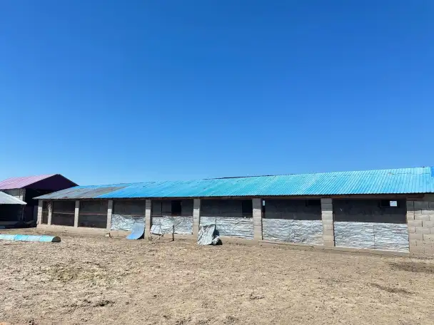 Фазенда, Кольащы, фотография 16