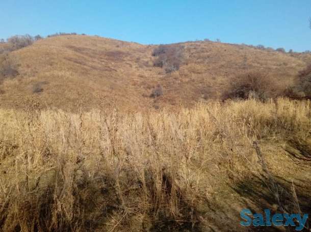 продам земельный участок 1.5 га к/х в Талгаре, район МТФ №3 вверх по Интернациональной, фотография 1