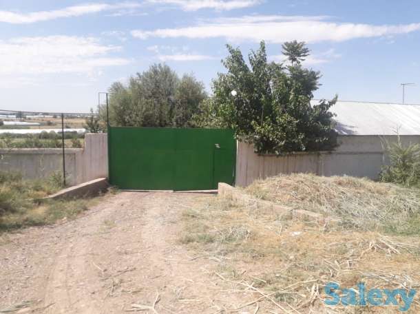 Сарай, теплица, Жаңа арық, фотография 9