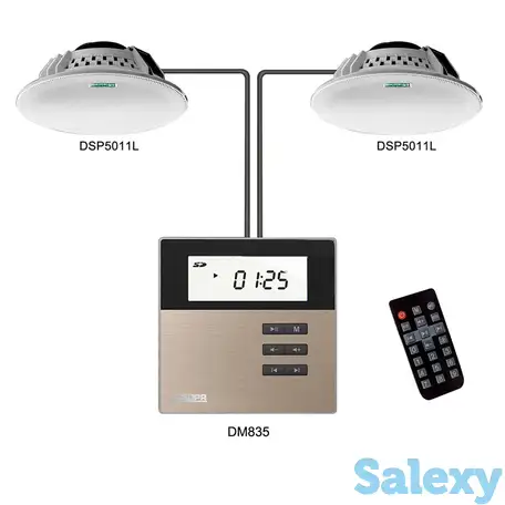 Активный музыкальный комплект dsppa dm835b, фотография 1