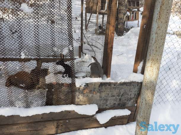 Продам дачный участок в мкр.Каменкское плато, фотография 1