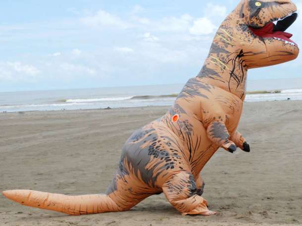 Тамада, анниматоры, фокусник, ростовые фигуры, пиньятта, шар-сюрприз, фотография 2