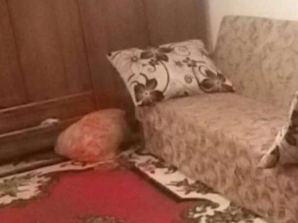 Возьму на подселение девушек , Улица Валиханова, фотография 1