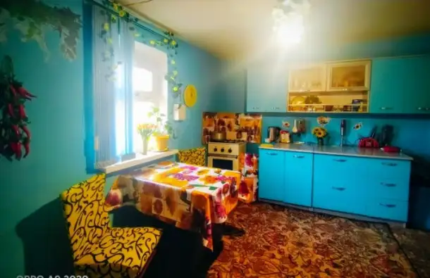 Продам лошадей и дом, ж/д станция Сокыр, фотография 3