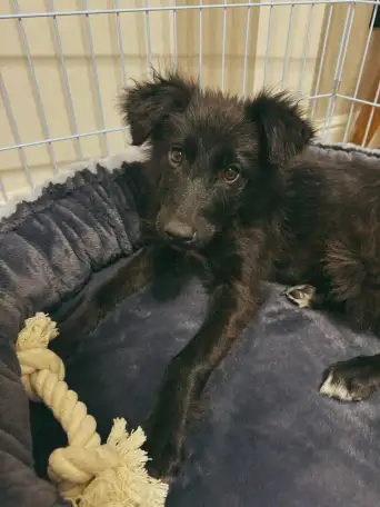 Ищет семью!, фотография 1