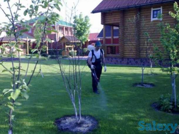 Монтаж систем автоматического полива, фотография 3