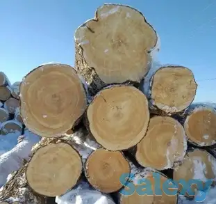 Предлагаем пиломатериалы высокого качества, из сибирских пород деревьев, фотография 2