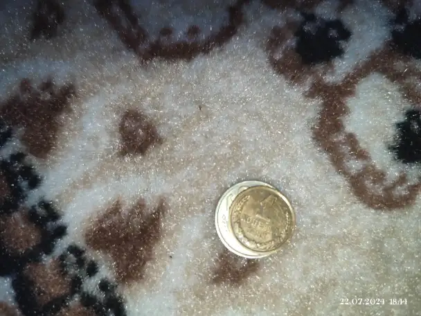 Продам две монеты старые Стекла СССР, фотография 1