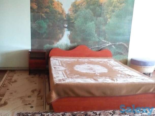 сдам посуточно, спутник м, фотография 2