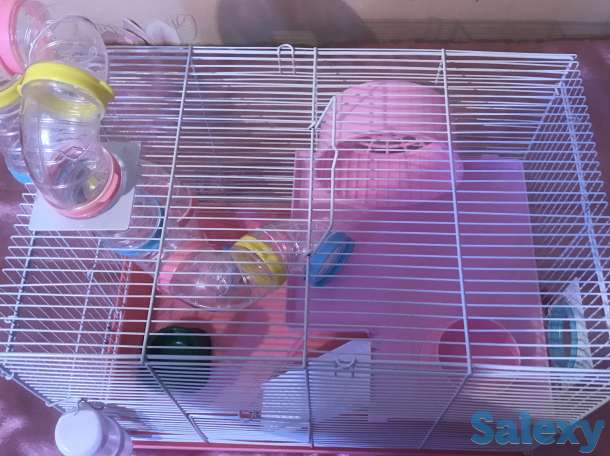 Продам клетка для хомяков 2 -этажный +подарок, фотография 4
