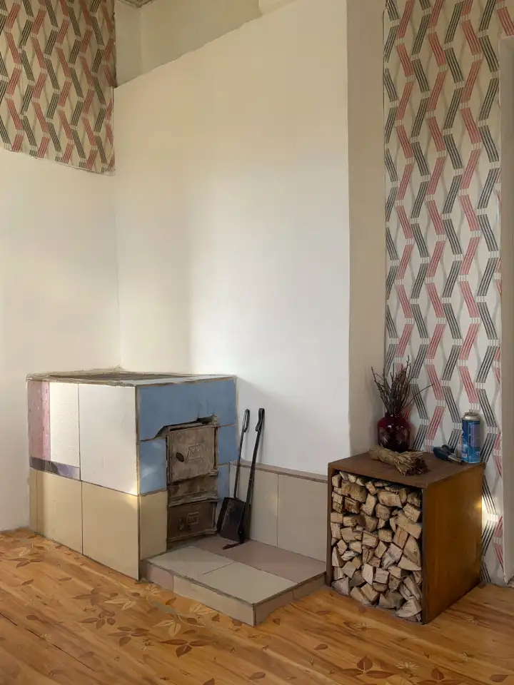 Продам уютный двор в черте города, Ул. Бажова д.163А, фотография 6