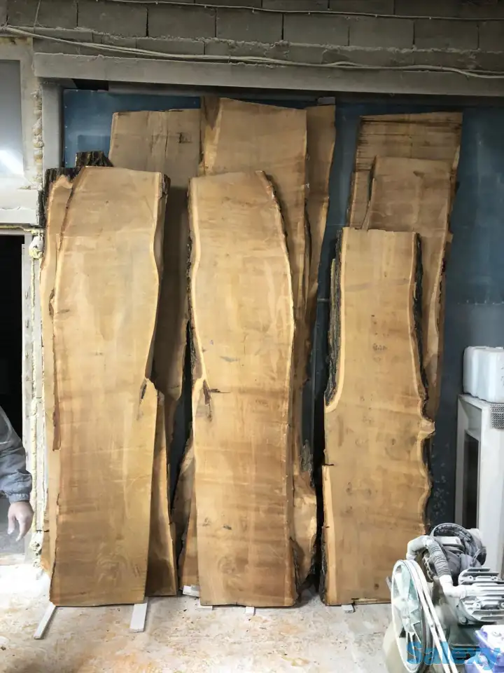 Слеб карагач., фотография 11