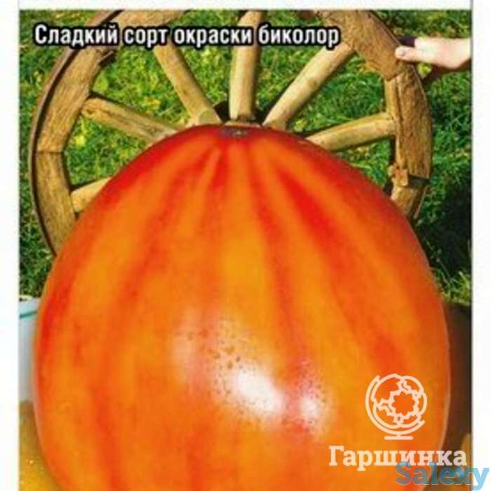 Семена Томат Золотое колесо 20шт, фотография 1