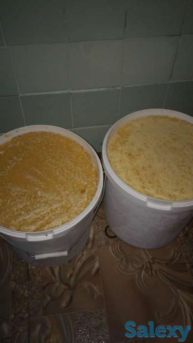 Натуральный мед ВКО. Сбор 2018. Оптом., фотография 1