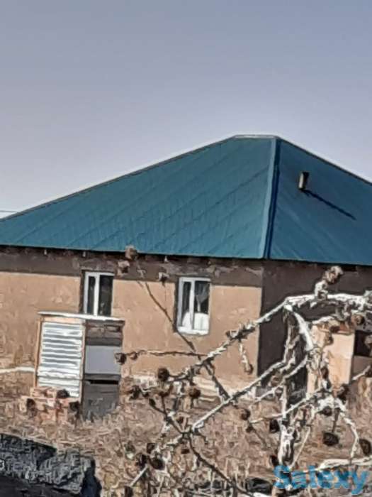 50 соток КХ Кошмамбет, фотография 4